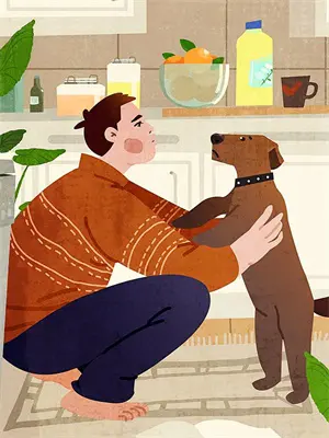 顾淮沈妍(律师男友悔婚9次,我换嫁深情竹马)最新章节在线阅读_顾淮沈妍全章节阅读