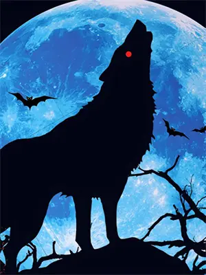 半寸心房朱小雪阿超免费小说全集_小说免费完结半寸心房朱小雪阿超